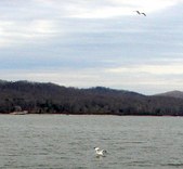 Enlarge photo 35