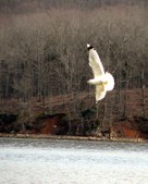 Enlarge photo 34