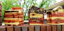 Enlarge photo 32