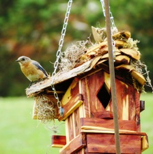 Enlarge photo 27