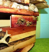 Enlarge photo 12