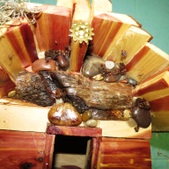 Enlarge photo 22
