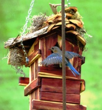 Enlarge photo 16