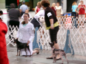 Enlarge photo 32