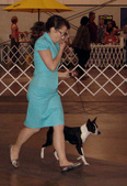 Enlarge photo 30