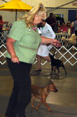 Enlarge photo 29