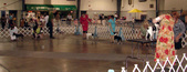 Enlarge photo 28