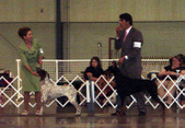 Enlarge photo 52