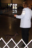 Enlarge photo 44