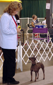 Enlarge photo 42