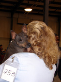 Enlarge photo 37