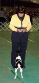 Enlarge photo 6