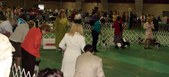 Enlarge photo 80