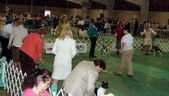 Enlarge photo 77