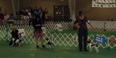Enlarge photo 78