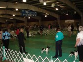 Enlarge photo 63