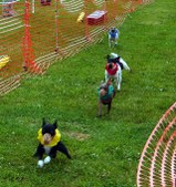 Enlarge photo 58