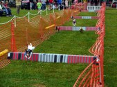 Enlarge photo 57