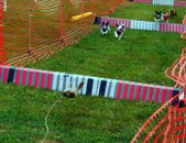 Enlarge photo 54