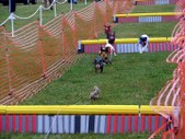 Enlarge photo 50