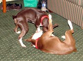 Enlarge photo 40