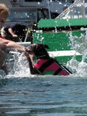 Enlarge photo 25