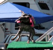 Enlarge photo 24