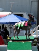 Enlarge photo 22