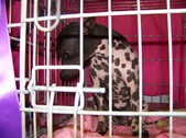 Enlarge photo 11