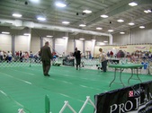 Enlarge photo 31