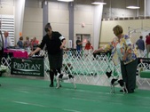 Enlarge photo 32