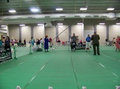 Enlarge photo 53
