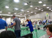 Enlarge photo 59
