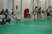 Enlarge photo 92