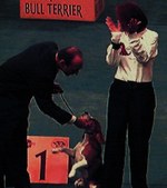 Enlarge photo 52