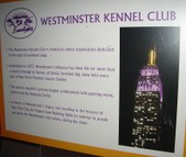 Enlarge photo 72