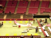 Enlarge photo 88