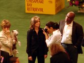 Enlarge photo 96