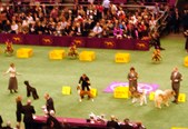 Enlarge photo 116