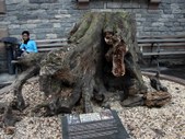 Enlarge photo 133