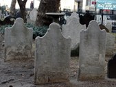 Enlarge photo 134