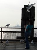 Enlarge photo 148
