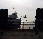 Enlarge photo 151
