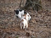 Enlarge photo 37