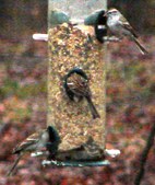 Enlarge photo 27