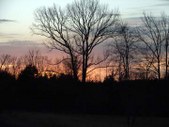 Enlarge photo 42