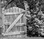 Enlarge photo 60