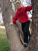 Enlarge photo 48