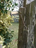 Enlarge photo 66