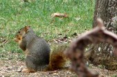 Enlarge photo 34
